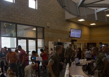 The Vandegrift Incident