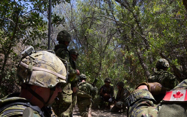 Canadians take down targets during RIMPAC