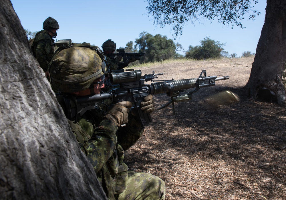 Live-Fire Section Attacks RIMPAC 2018