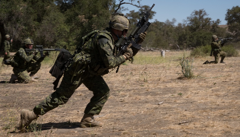 RIMPAC 2018 Live-Fire Section Attacks