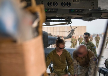 TG Taji Health Co and TF Liberty MEDEVAC Training