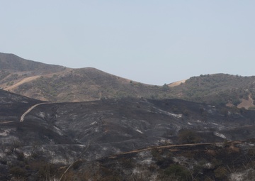 Pendleton Complex fires burn more than 1,600 acres of base