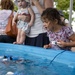 Honorary AMC CC hosts Fair St. Louis STEM booths