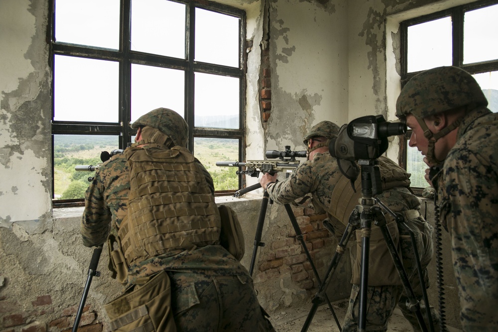 Target Acquired: Bulgaria DFT Sniper Training