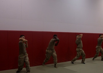 Army Soldiers participate in MCMAP training