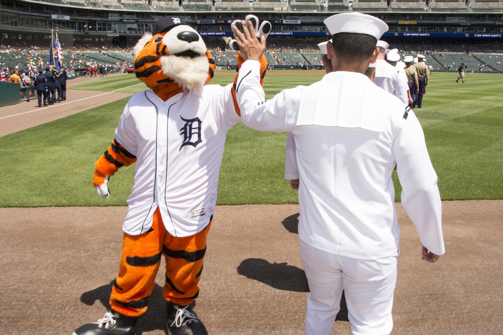 Detroit Tigers Salute to Service