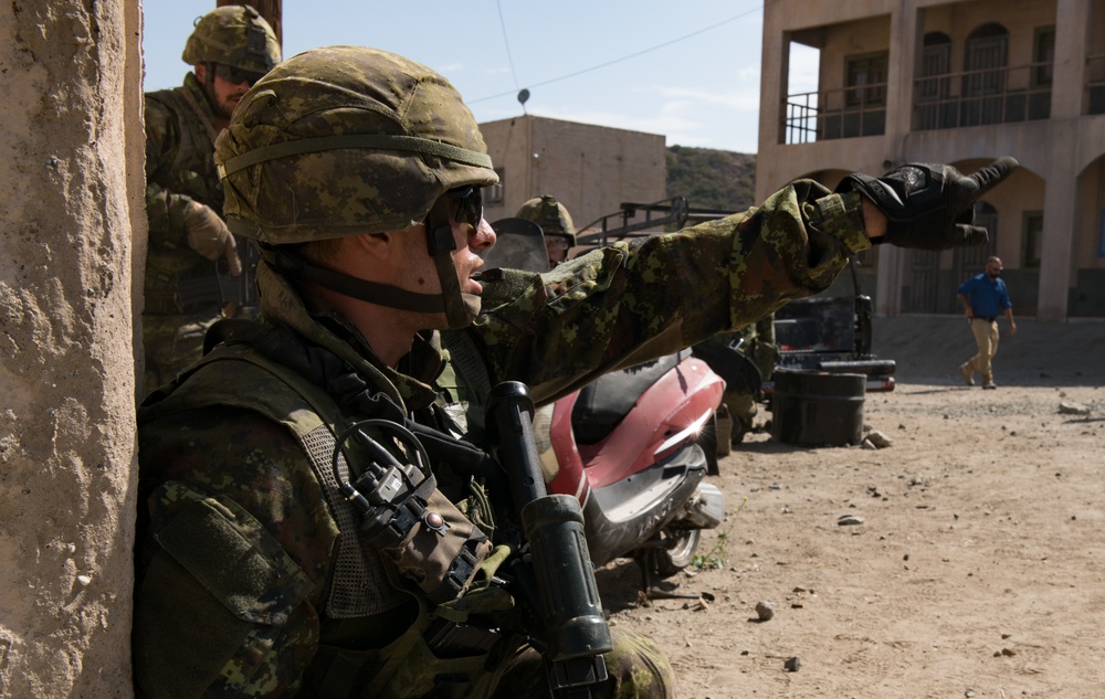 Infantry Immersion Training RIMPAC 2018