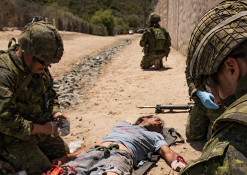 Infantry Immersion Training RIMPAC 2018