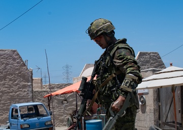 Infantry Immersion Training RIMPAC 2018