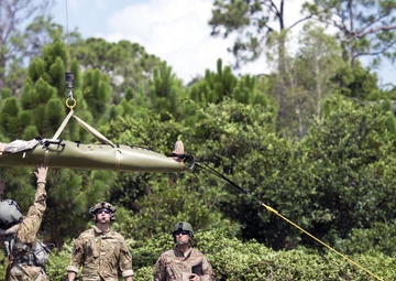 Joint, total force enhances MacDill EOD training