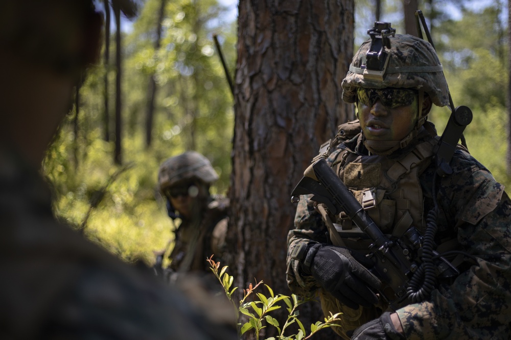 1st Battalion, 2nd Marines Motorized Raid Course