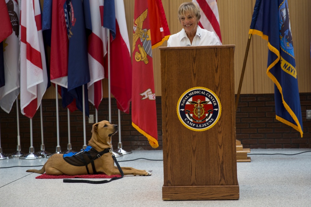 Naval Medical Center Camp Lejeune welcomes first Therapy Dog ambassador