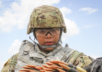 Army Reserve brigades hosts thier first ever gunnery exercise; trains nearly 400 Soldiers