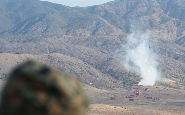 U.S. Marines, Canadian soldiers call for fire during RIMPAC