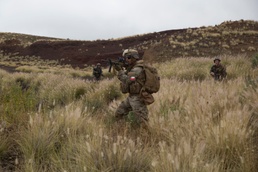 U.S. Marines and RIMPAC participants practice NEO on Island of Hawaii