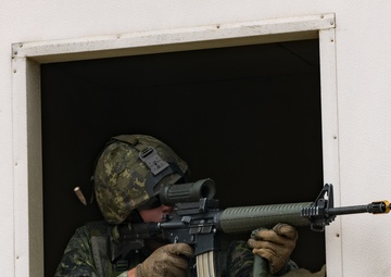 US Marines and Canadian Soldiers Participate in Final Amphibious Assault Exercise