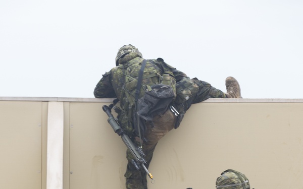 U.S. Marines, Canadian soldiers team up for amphib raid during RIMPAC