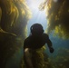 Royal Navy Diver Swims through Kelp During Boat Lane Evaluation During RIMPAC 2018