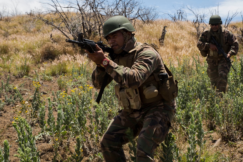 U.S. Marines train with RIMPAC participants on Island of Hawaii