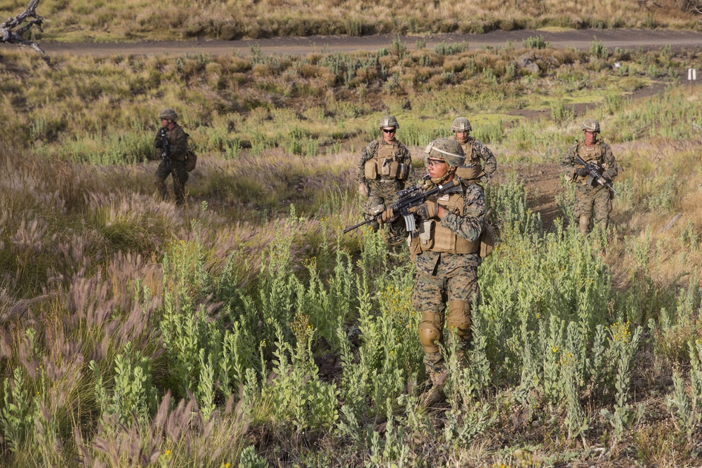 U.S. Marines train with RIMPAC participants on Island of Hawaii