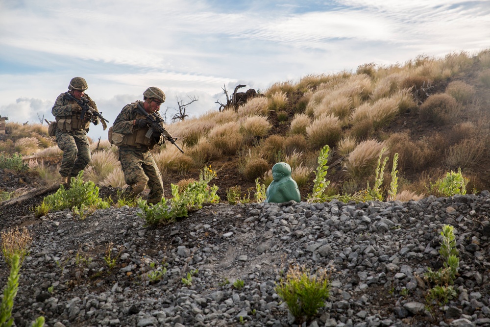 U.S. Marines train with RIMPAC participants on Island of Hawaii