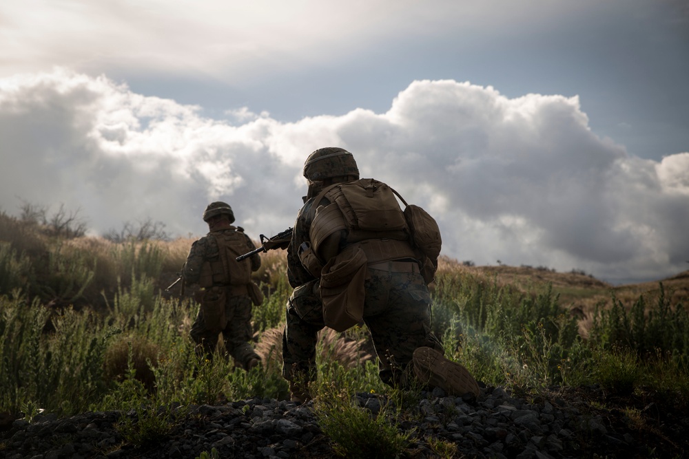 U.S. Marines train with RIMPAC participants on Island of Hawaii