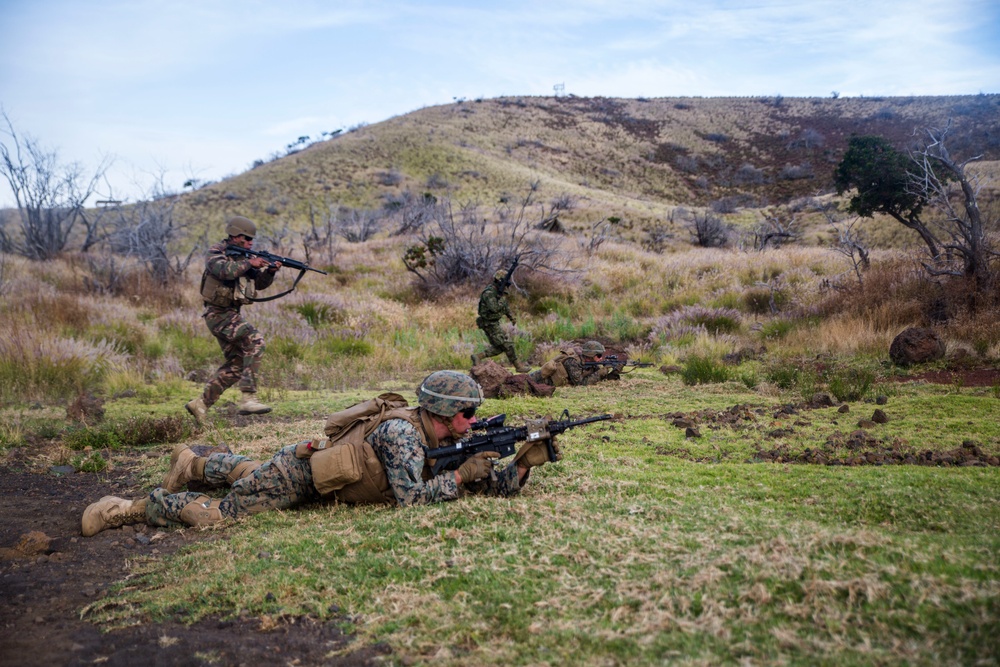U.S. Marines train with RIMPAC participants on Island of Hawaii