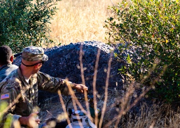 MCTs: Force Behind the Fight