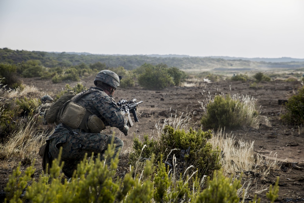 U.S. Marines conduct squad-level training during RIMPAC