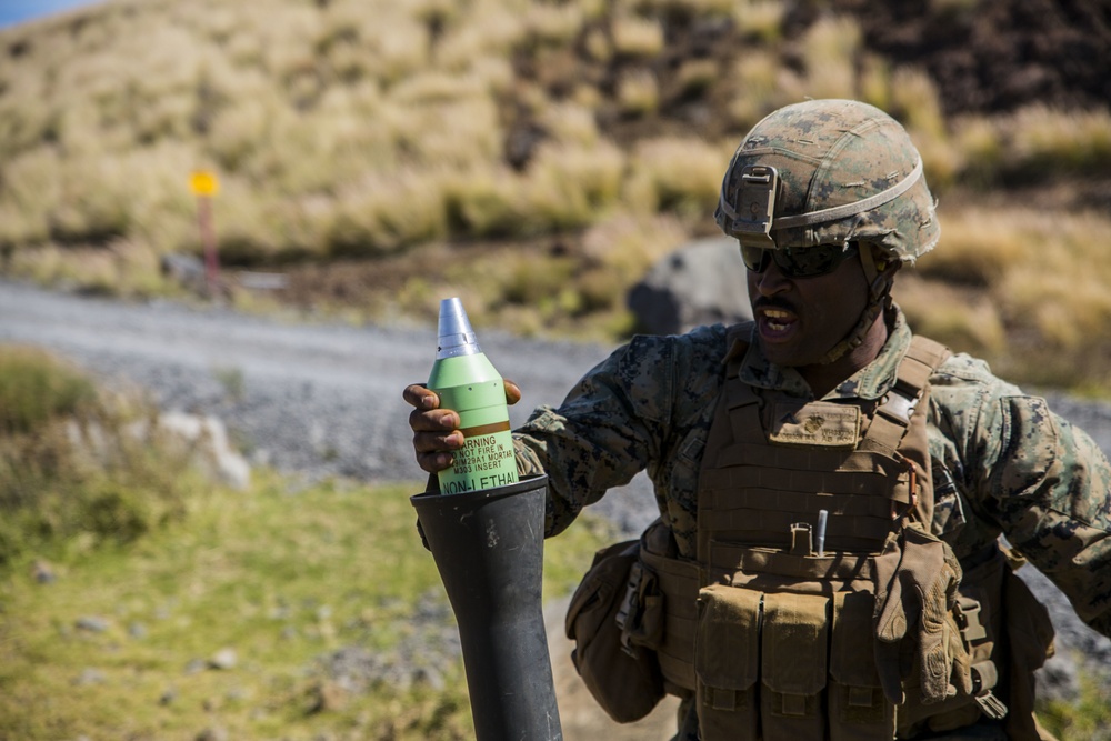 Corps tests new non-lethal mortar round