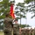 DCO-IDM Activation of Command Ceremony DCO-IDM Activation of Command Ceremony