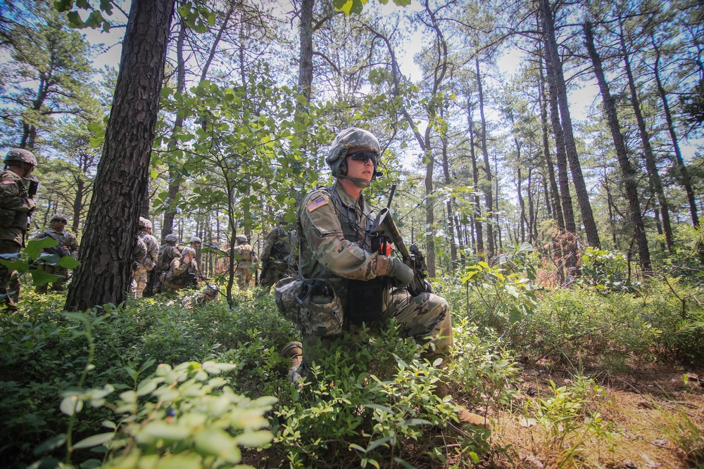 1-114th Infantry conducts air assault exercise