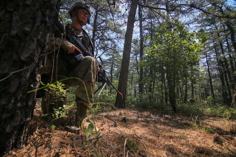 1-114th Infantry conducts air assault exercise