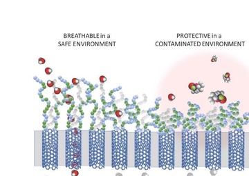 A Second Skin for the First Layer of Defense