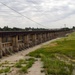 Yvonne Prettyman-Beck visits American River Levees