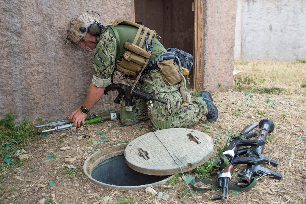 Multinational EOD Training