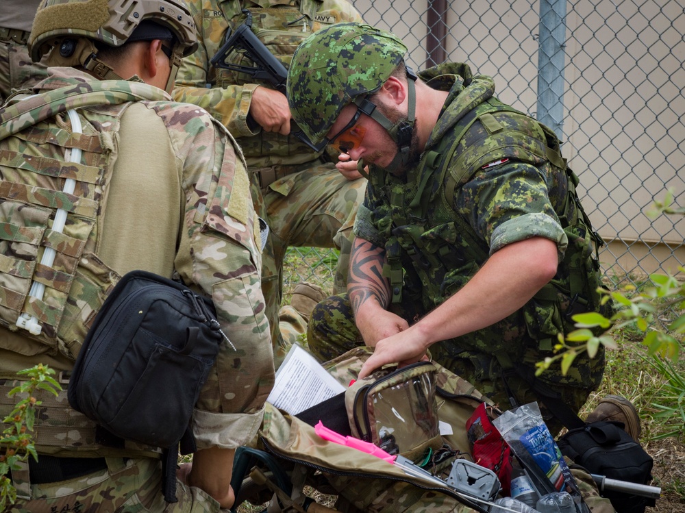 EOD Teams From Four Nations Work Together On IED Removal