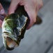 Rod ’n’ reel: base lakes open to fishing
