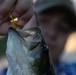 Rod ’n’ reel: base lakes open to fishing