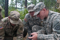 Experience flows from Citizen Soldiers