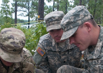 Experience flows from Citizen Soldiers