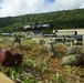 The 31st MEU’s Force Reconnaissance Platoon goes down range