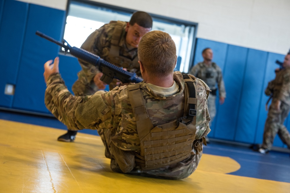 Security forces complete defensive tactics training