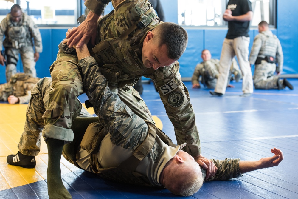 Security forces complete defensive tactics training