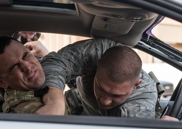 Security forces complete defensive tactics training