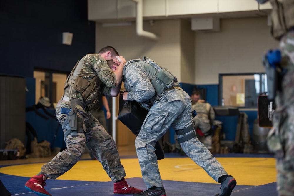 Security forces complete defensive tactics training