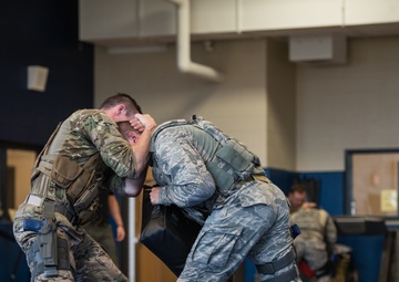Security forces complete defensive tactics training