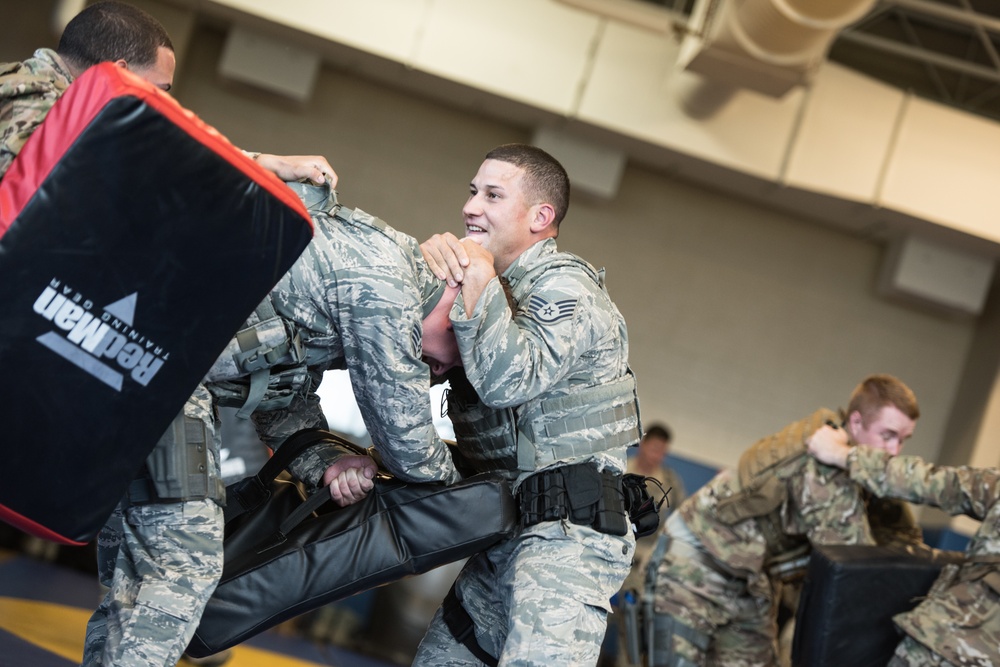 Security forces complete defensive tactics training