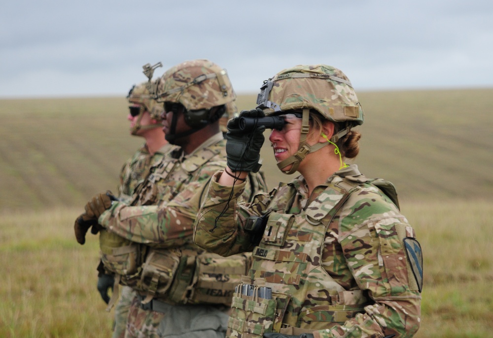 Soldiers Conduct Mortar Live Fire Training