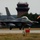 Buzzards breeze into RAF Lakenheath